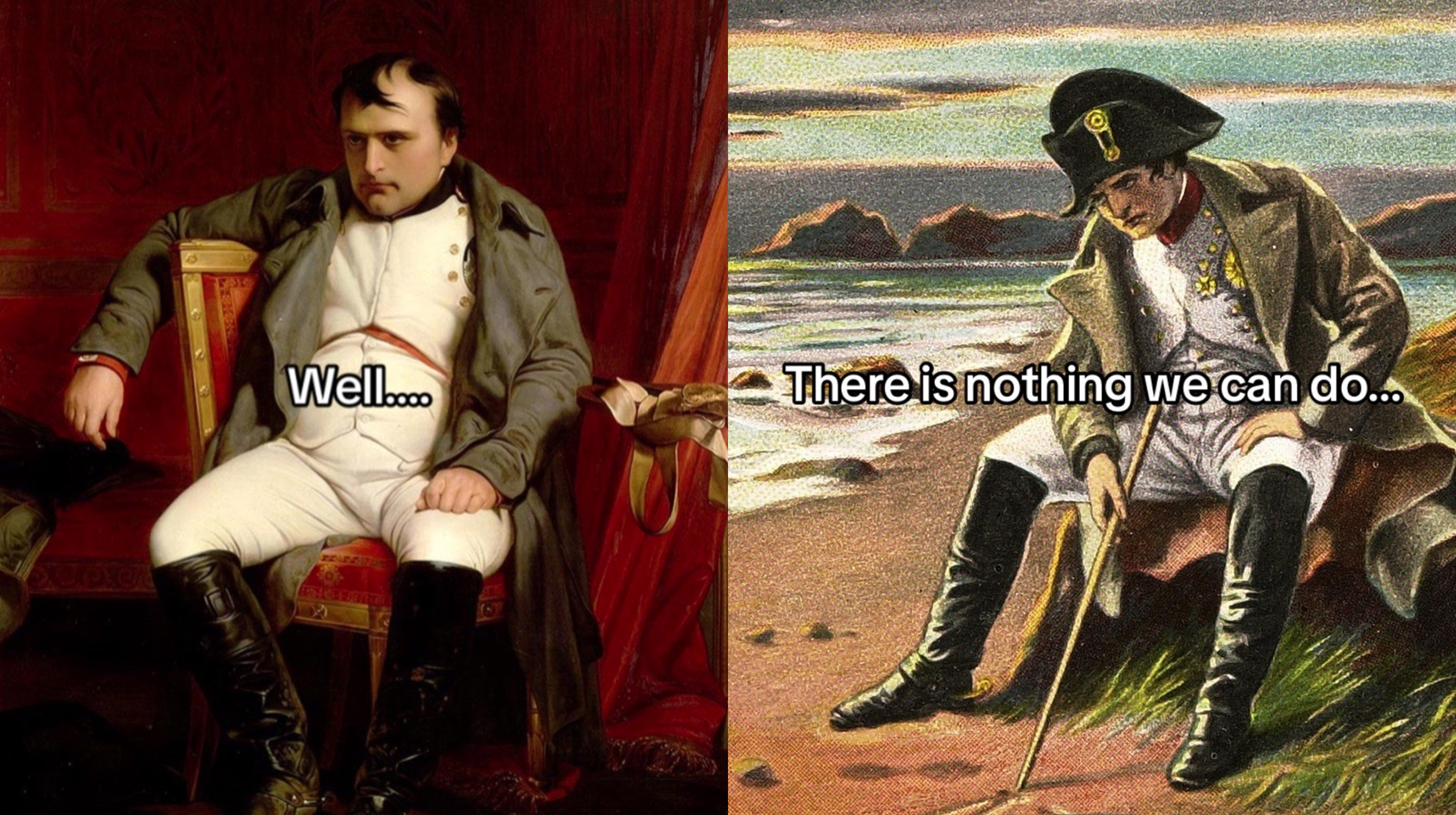 Napoleon There Is Nothing We Can Do | Know Your Meme
