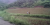 Screenshot 2025-08-01 at 1.45.26 am.png