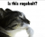 1754051150009.png