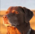 1754202146174.png