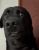 1754740994142.png