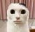 IMG_1028.jpeg