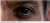 1760081024649.png