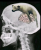 1761556114151.png