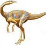 Dromiceiomimus