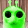 SalemWitch
