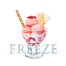 TheBirdNerd