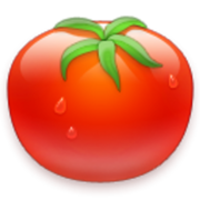 tomato-timer.com